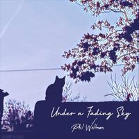 Phil Wellman - Under a Fading Sky