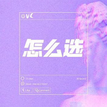 VC - 怎么选
