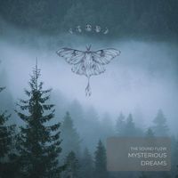 The SoundFlow - Mysterious Dreams