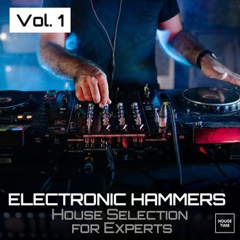 Various Artists - Electronic Hammers, Vol. 1 (House Selection for Experts)