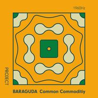 Project Baraguda, Rob van Barschot - Common Commodity