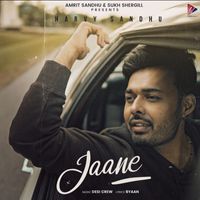 Harvy Sandhu & Desi Crew - Jaane