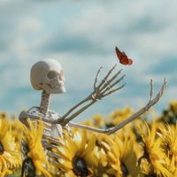 This Coast Bias - I DON'T LIKE IT HERE