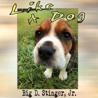 Big D. Stinger, Jr. - Like a Dog