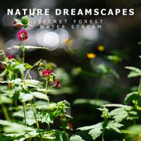Nature Dreamscapes - Secret Forest Water Stream