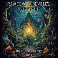 Shadow Chronicles - Indigo Sequence (Mercuroid Remix)
