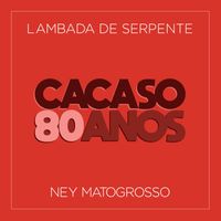 Ney Matogrosso - Lambada de Serpente