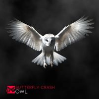 Butterfly Crash - Owl