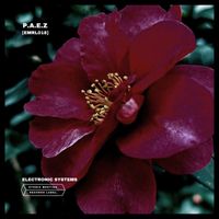 P.A.ǝ.Z - Electronic System
