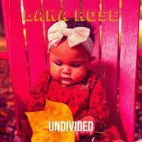 Undivided - Lana Rose