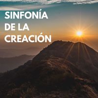 Relajaciòn de Zona - Sinfonía de la creación: Un concierto musical que celebra la belleza y la armonía del universo