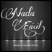 Banda La Grande De Gto - Nada Fácil
