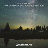 Victor Special - Flow Of Perception / Powerful Vibrations