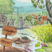 turqua - Chidiyaghar