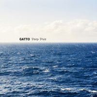 Gatto - Deep Dive