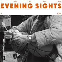 Mr. Käfer - Evening Sights