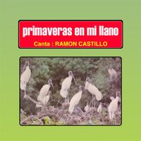 Ramon Castillo - Primaveras En Mi Llano