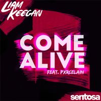 Liam Keegan - Come Alive