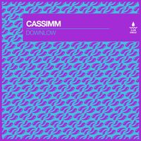 CASSIMM - Downlow