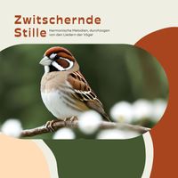 Evan Tierisch - Zwitschernde Stille - Harmonische Melodien, durchzogen von den Liedern der Vögel