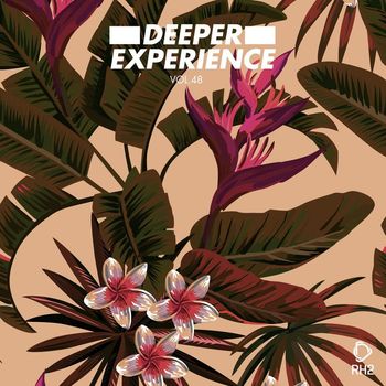 Various Artists - Deeper Experience, Vol. 48