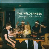 The Wilderness - Strangers I Used to Love (Explicit)