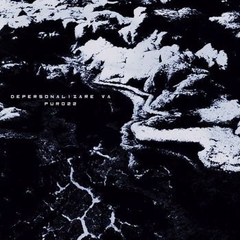 Various Artists - Depersonalizare