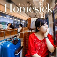 Stefan Zintel - Homesick