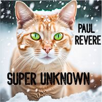 Paul Revere - Super Unknown