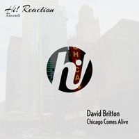 David Britton - Chicago Comes Alive