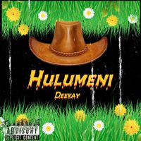 Deekay - Hulumeni