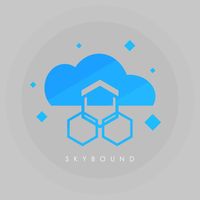 Wizzokami - Skybound
