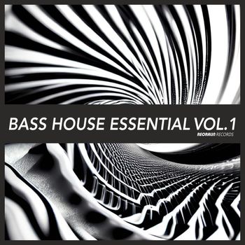 Various Artists - Bass House Essential, Vol. 1 (Explicit)