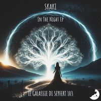 Skaki - In The Night EP