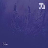 So_N - Fugere