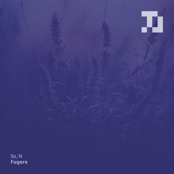 So_N - Fugere