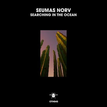 Seumas Norv - Searching in the Ocean
