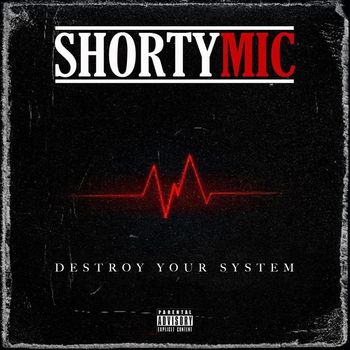 Shorty Mic - Destroy Your System (Explicit)