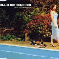 Black Box Recorder - These Are The Things
