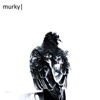 Murky - Flowers / This Machine