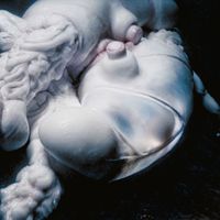 Björk featuring Arca - Arisen My Senses