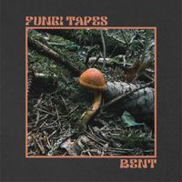 Fungi Tapes - Bent