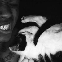 Vanitas - everything i do, i do for you (Explicit)