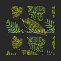 Slownoise - Ruffington