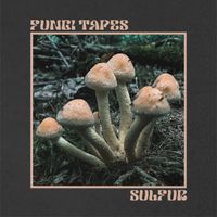 Fungi Tapes - Sulfur