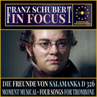 Franz Schubert - Schubert: In Focus