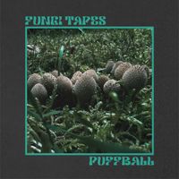 Fungi Tapes - Puffball