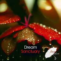 Rain Hive - Dream Sanctuary