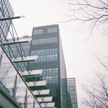 Nectax - Denizen