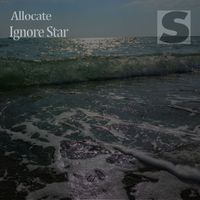 Allocate - Ignore Star